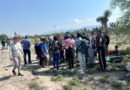 Autobús que trasladaba a 54 migrantes sufre accidente en carretera en norte de México