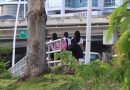 Alarma en Panamá por el auge del acoso escolar y reportes de suicidios por su causa