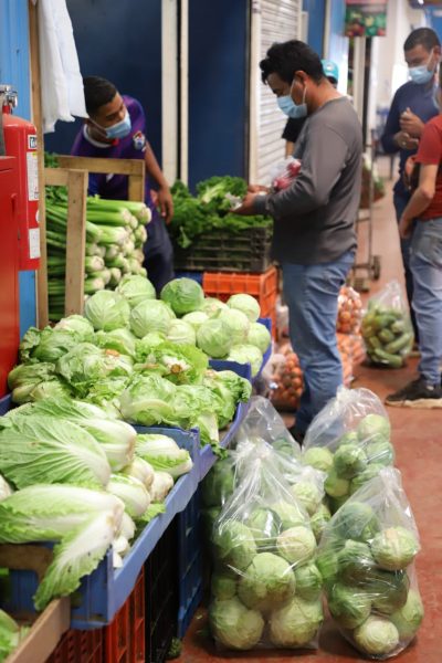 frrutas legumbres vegetales