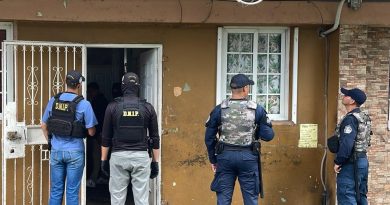 Dice la policía que aprehendió a 204 personas en las últimas 24 horas