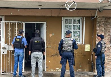 Dice la policía que aprehendió a 204 personas en las últimas 24 horas