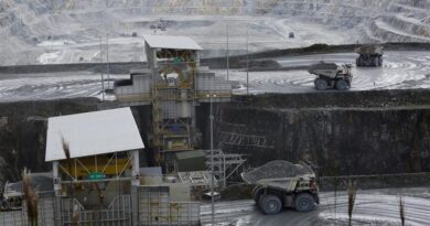 Cámara de Comercio aplaude fallo de la CSJ y espera un proceso de cierre ordenado de la mina