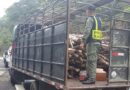 Policía incauta cargamento ilegal de madera en Chiriquí