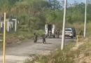 Recapturan a 163 evadidos de La Joyita; continúa la búsqueda de 32 prófugos