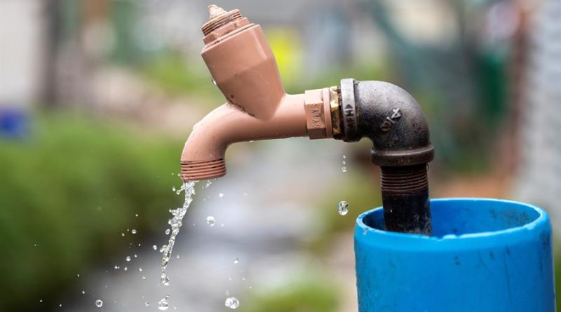 grifo agua