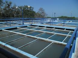 Planta potabilizadora de Chilibre baja producción en un 80% por turbiedad del agua y aumento en nivel del lago Alajuela